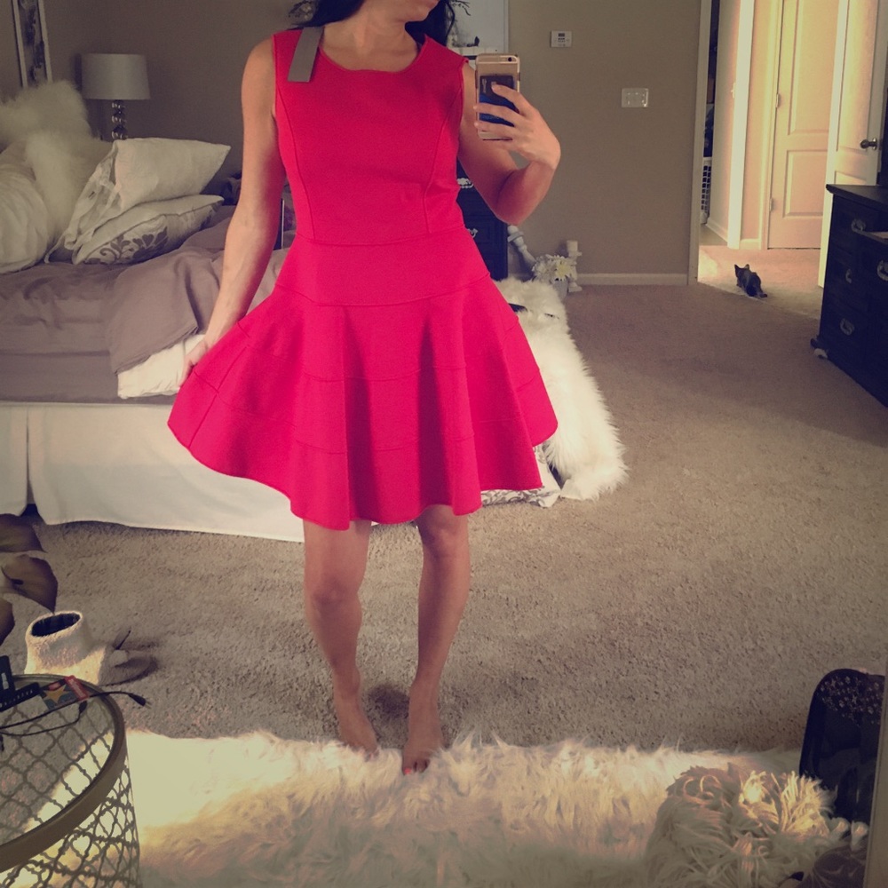 ‼️NWT‼️

🌺Halston Heritage Dress in Ruby Red/Pink
🌺Large/12