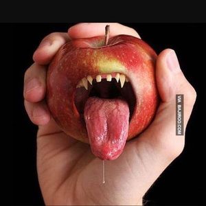 Meet your Posher, Brady