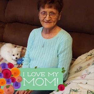 Meet your Posher, Shelly