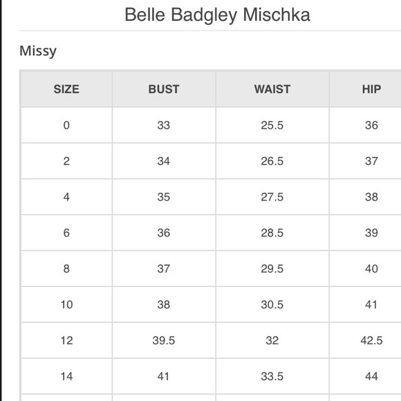 ✨NWT✨Belle By Badgley Mischka Dress - Picture 7 of 7