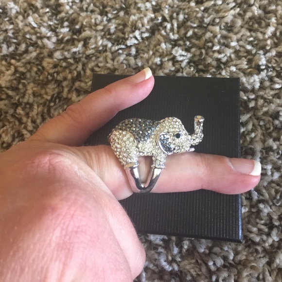 Elephant ring - Picture 1 of 4