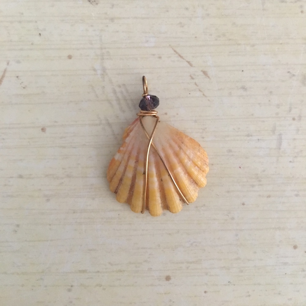 Sunrise shell necklace