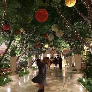 Meet your Posher, Pam