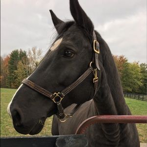 Meet your Posher, Stacy