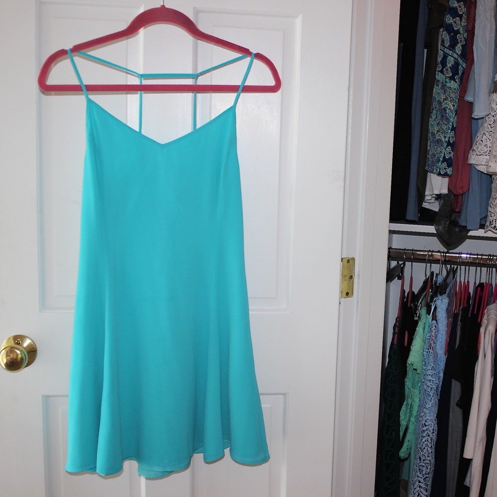 Blue Naked Zebra Dress