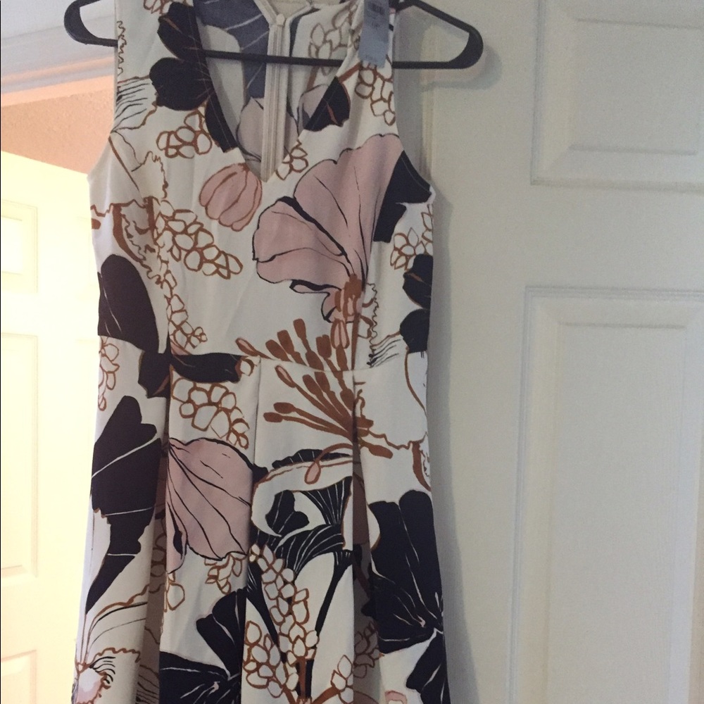 Am Taylor Summer Dress