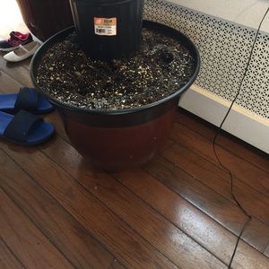 Meet your Posher, Terri