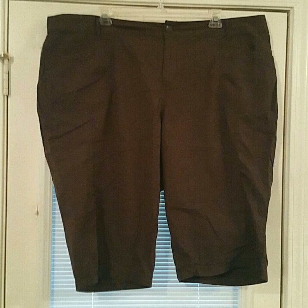 Lane Bryant capri pants