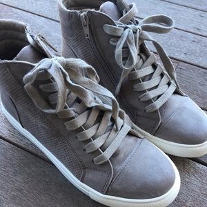 Brand New Steve Madden Hi-Tops