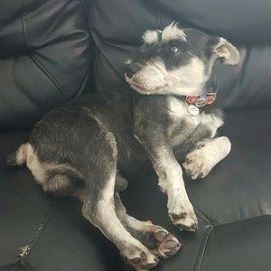 Meet your Posher, Devis