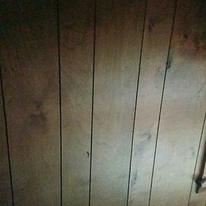 Meet your Posher, Cotina