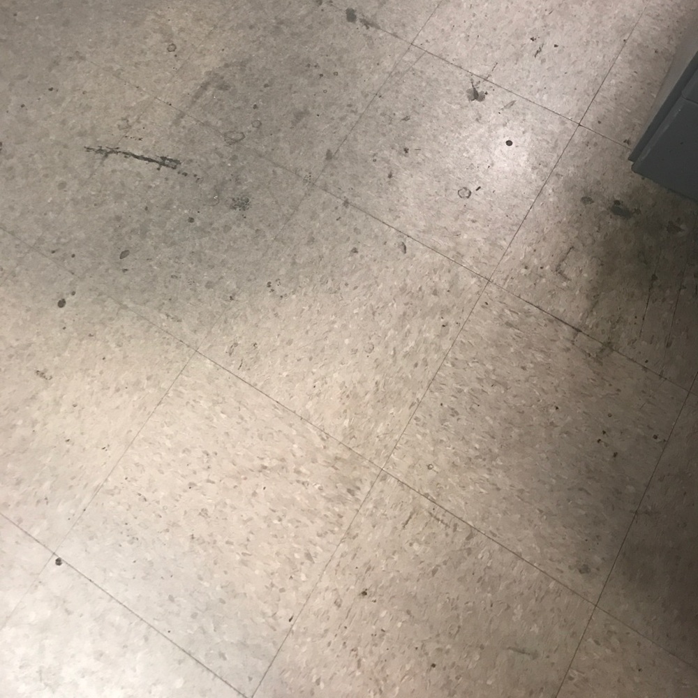 Meet your Posher, Judy