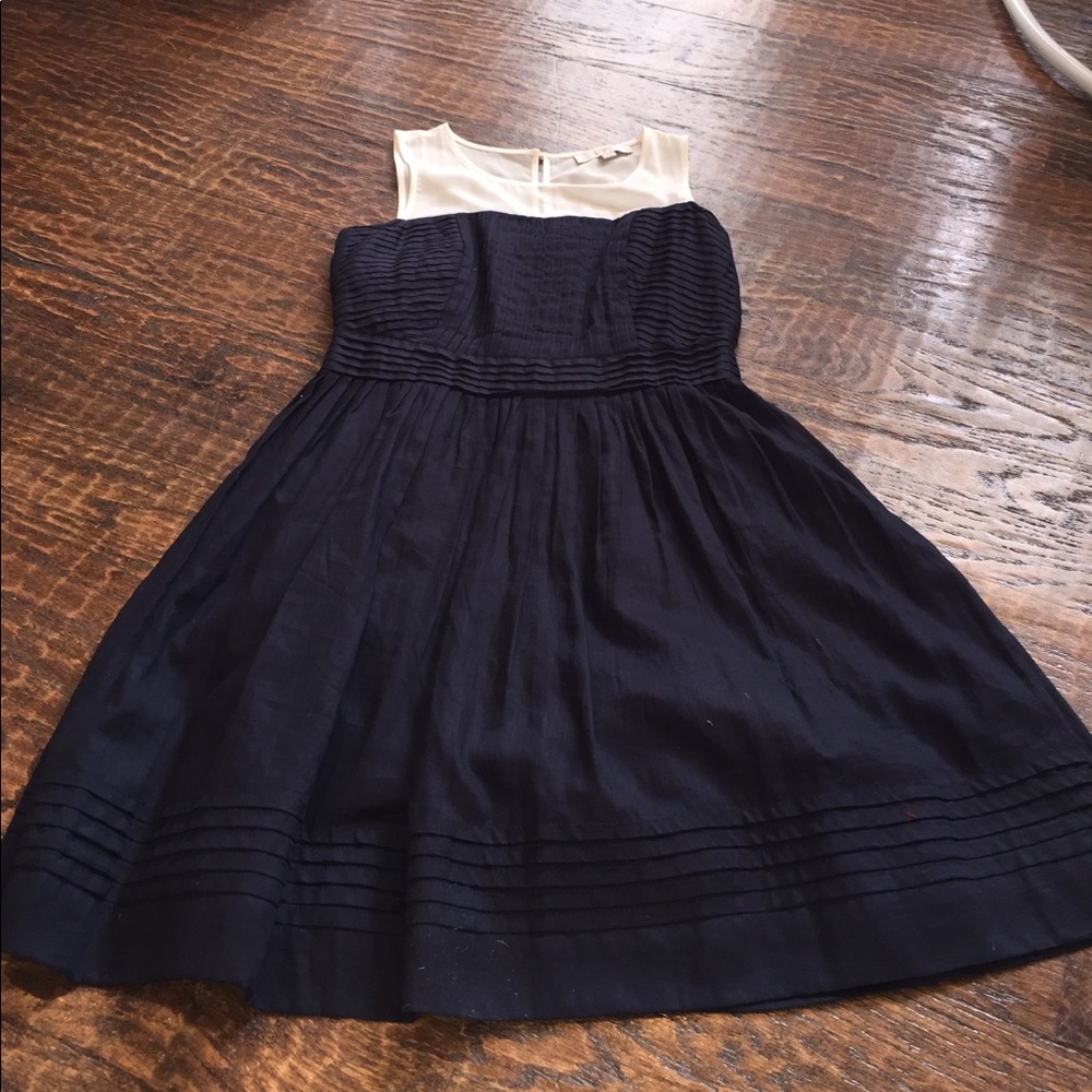 Navy Blue and Sheer Dress