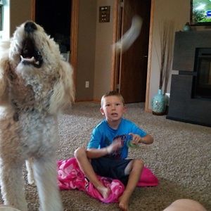 Meet your Posher, Anthony