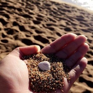 Meet your Posher, Betty