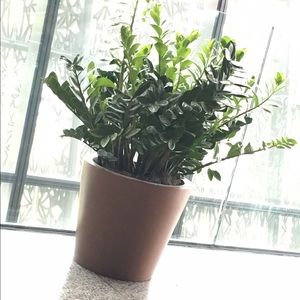 Meet your Posher, Isabel