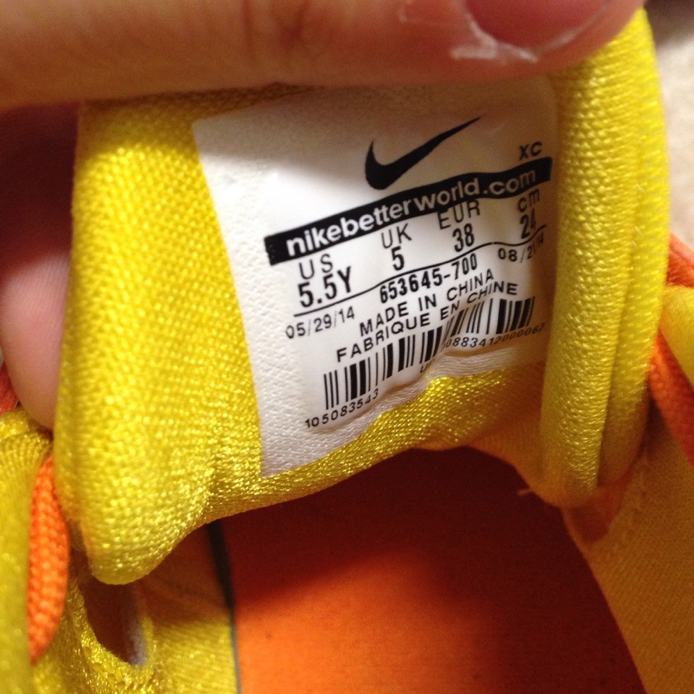 Lebron - Picture 5 of 6