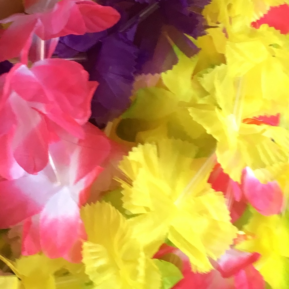 Meet your Posher, Kristin