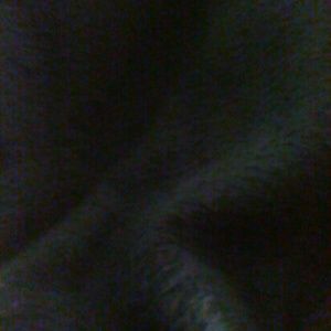 Meet your Posher, Darryl