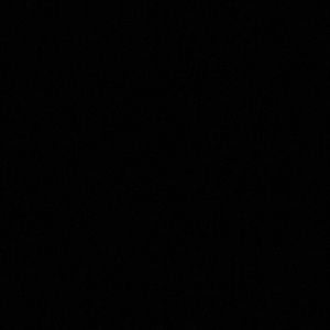 Meet your Posher, Daylen