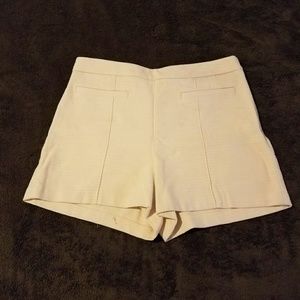 Ann Taylor Shorts