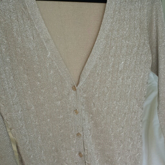 Champagne Cardigan Sweater - Picture 4 of 5