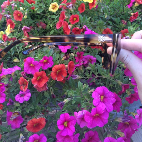 Tory Burch Sunglasses