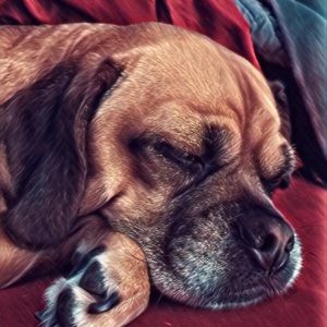 Meet your Posher, Liz