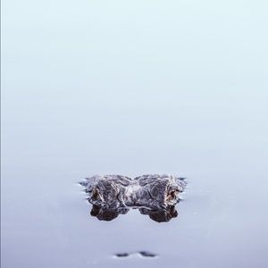 Meet your Posher, Alejandro