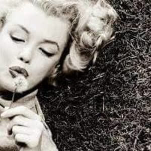 Meet your Posher, Sherry