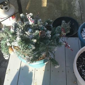 Meet your Posher, Tawnya