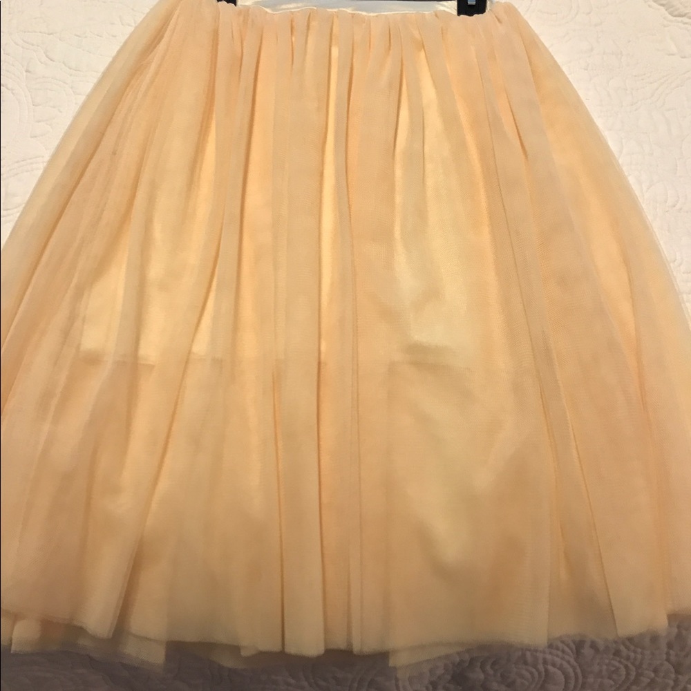 NWOT Tulle Skirt