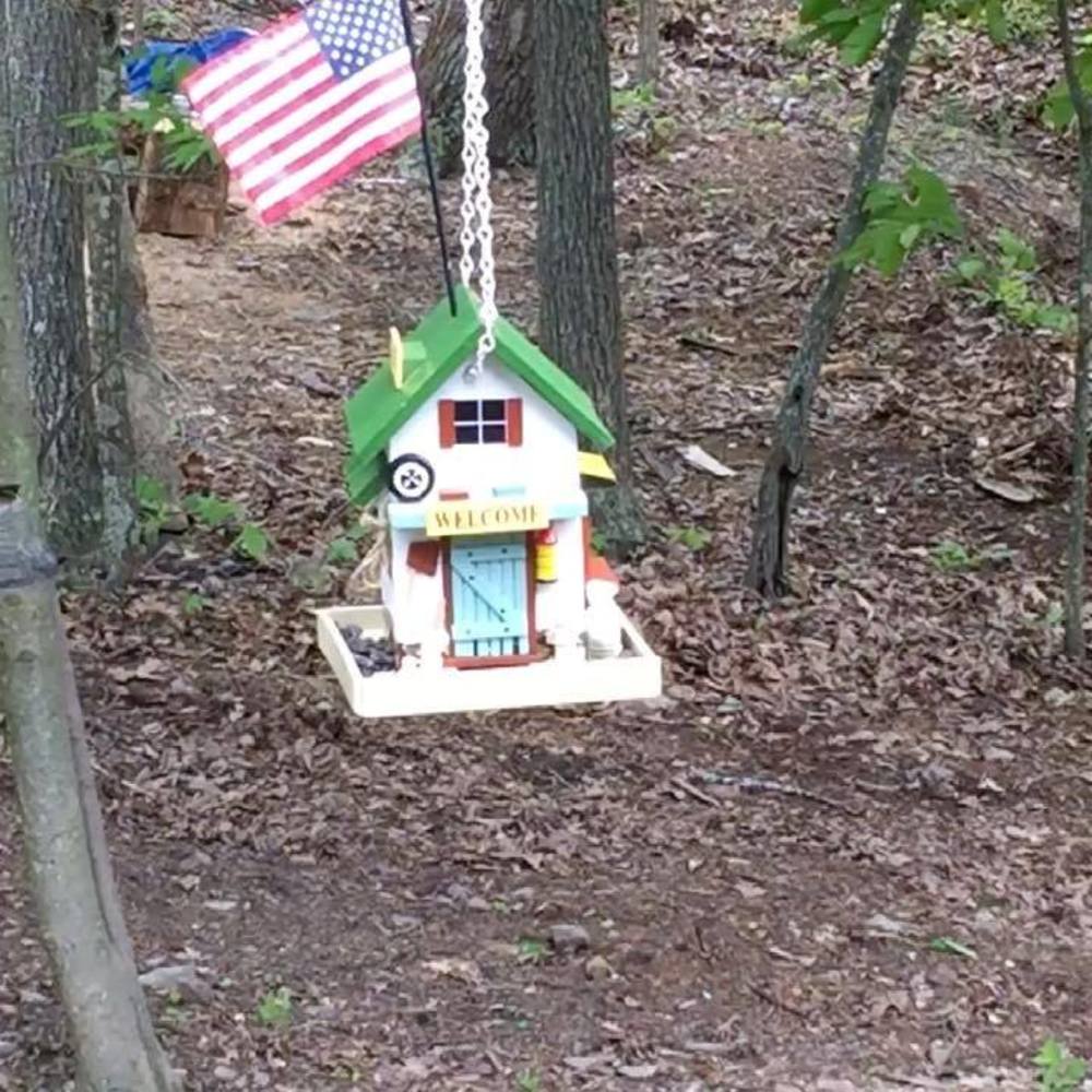 Meet your Posher, Debbie