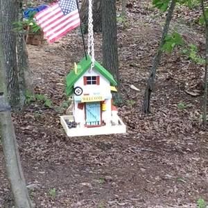 Meet your Posher, Debbie