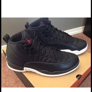 Air Jordan 12 Nylon