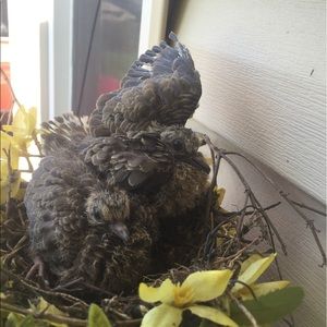 Meet your Posher, Angie