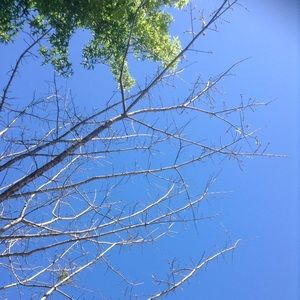 Meet your Posher, Bianca