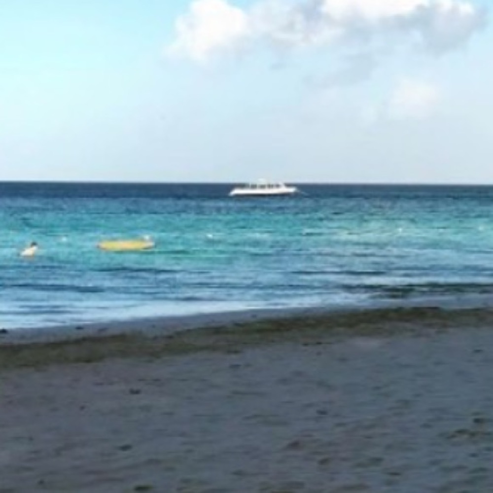 Meet your Posher, Alexis