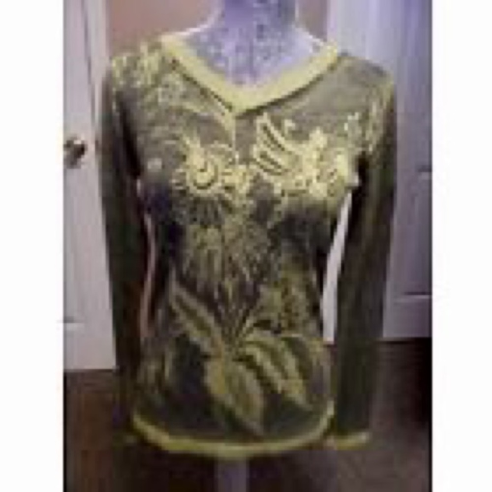 CAbi Green Papyrus Cotton & Cashmere Knit Top