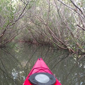 Meet your Posher, Logan