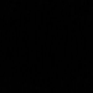 Meet your Posher, Ray