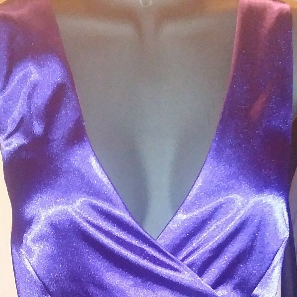 Brand New Beautiful Ripple Panel Dress