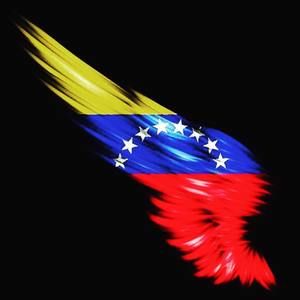 Meet your Posher, Luz