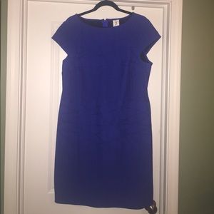 Royal blue, capped sleeve dress.