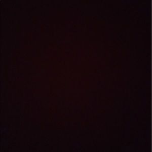 Meet your Posher, Javon