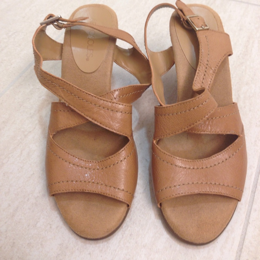 Aerosoles