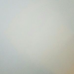 Meet your Posher, Ramona