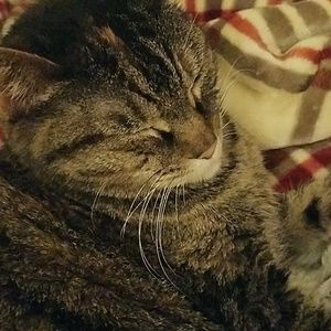 Meet your Posher, Amber