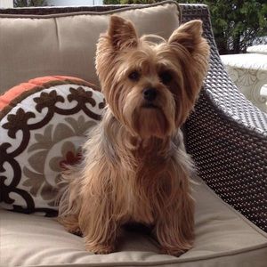 Meet your Posher, Patricia