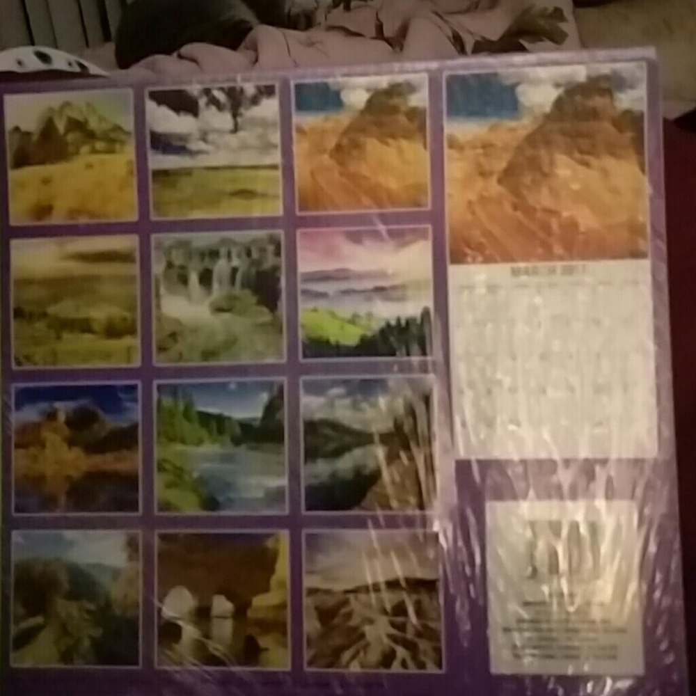 2017 Calendar bundle - Picture 2 of 2